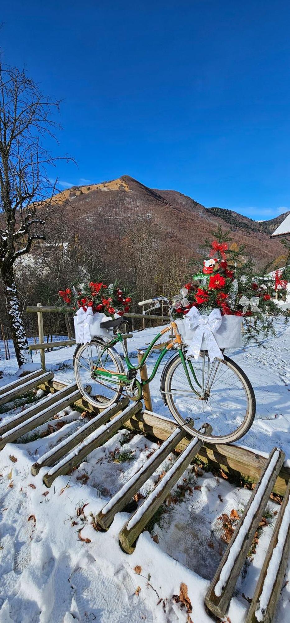 Rifugio Fornas Hotel Tolmezzo Ngoại thất bức ảnh